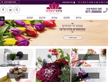Tablet Screenshot of g-flowers.co.il